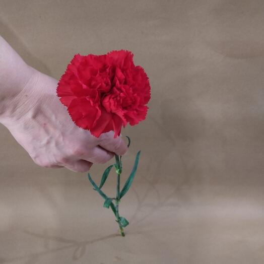 Clavel rojo