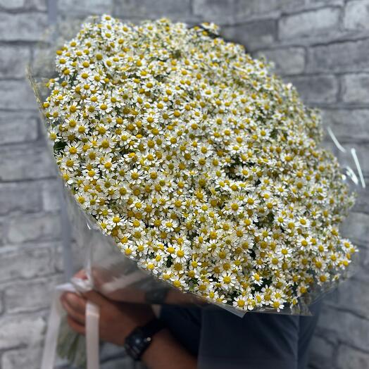 Букет из ромашек
