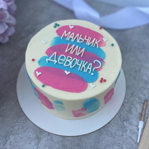 Bento cake M gender for gender party (baby sex determination)