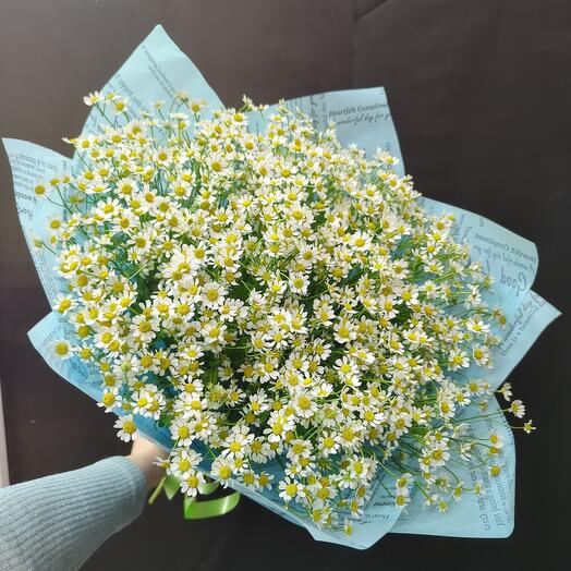 Большой букет ромашек