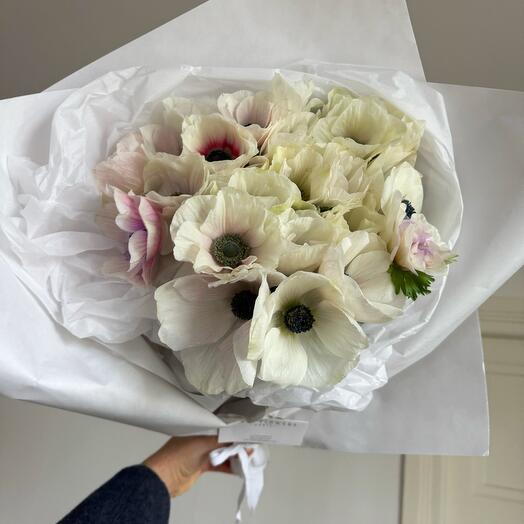 Anemones 27 stems