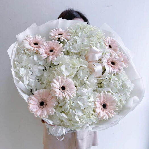 Hydrangea  and Gerbera