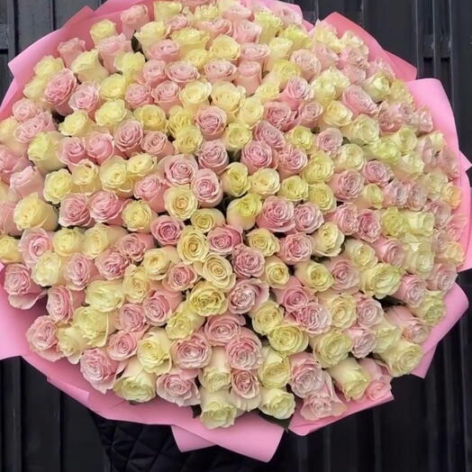 201 Pastel Roses