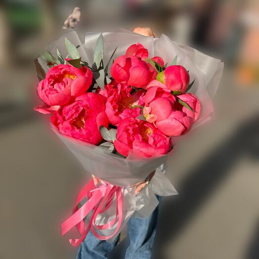 The beauty of the peony