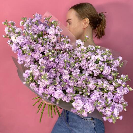 Маттиола сиреневая 💜