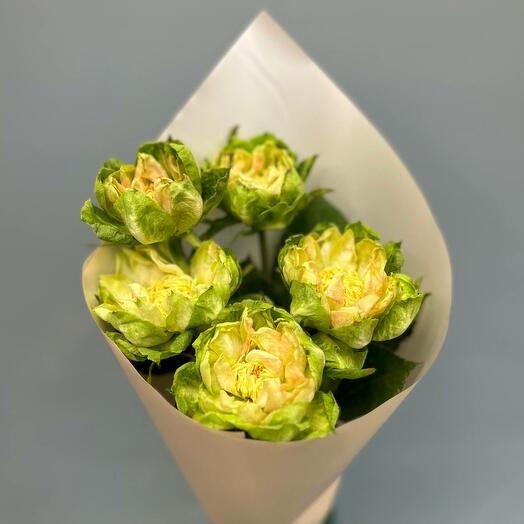 Mono ramo de hermosas rosas veggie