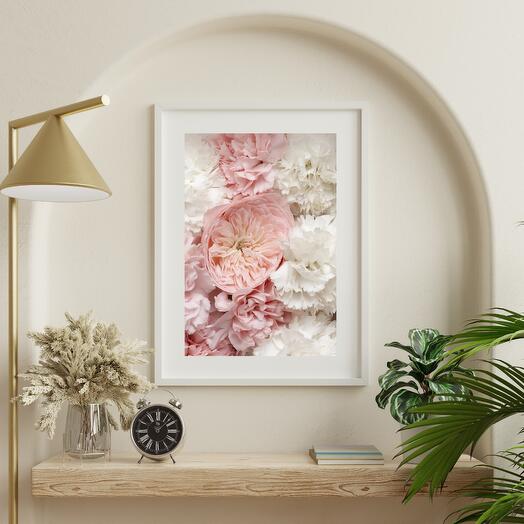 Light Pink Mayfield Rose and White Carnations