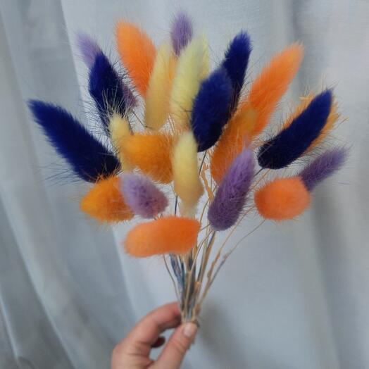 Bouquet of lagurus 25 pcs. (create your own color combination, write to the chat)