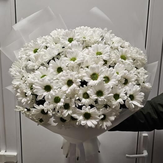 Букет ромашки хризантема кустовая