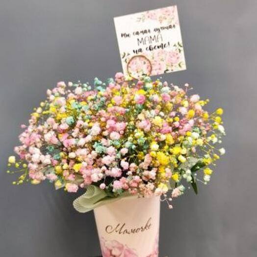 Гипсофила цветная