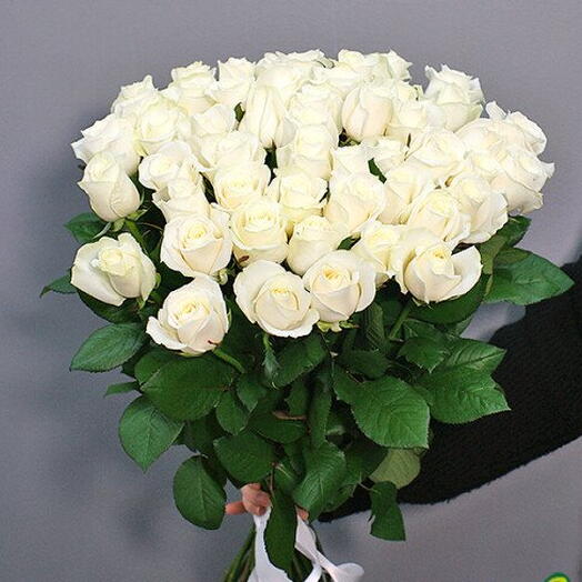 51 White roses