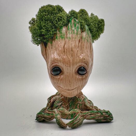 Groot con musgo estabilizado