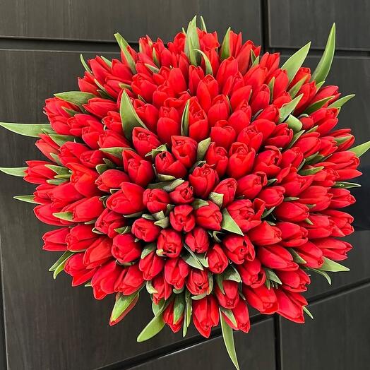 101  насыщенный  тюльпан