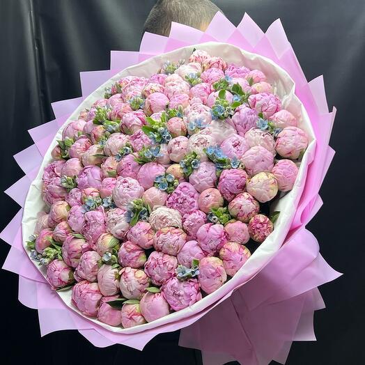 101 peonies