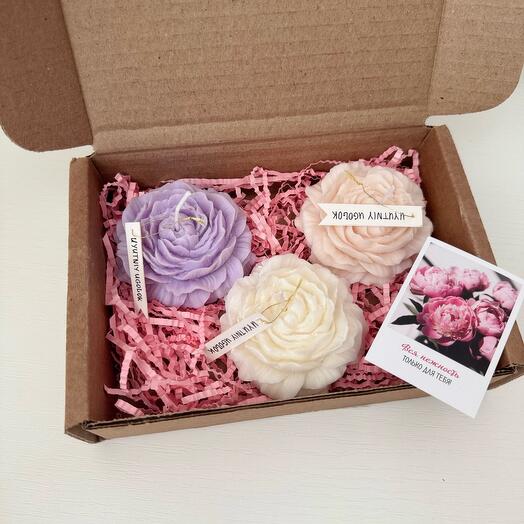 Набор формовых свечей «Пион»