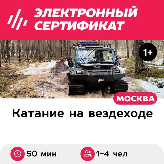 Тур на вездеходе Tinger между болот, экскурсия к муравейникам (50 мин.) (Московская область)