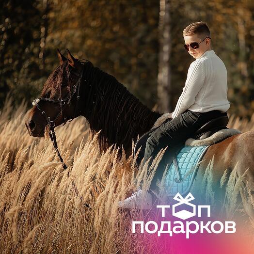 Подарочный сертификат Индивидуальная конная прогулка в поля для 1 чел. (1 час) (Московская область)