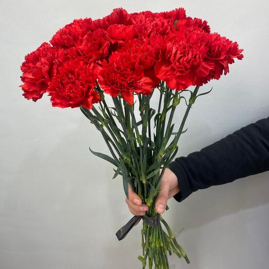 Гвоздики красные 2
