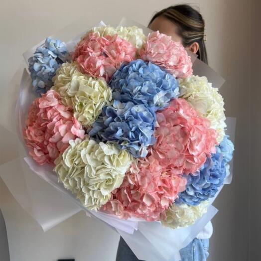 Гортензия 15 шт