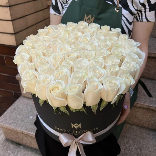 Box rose panna