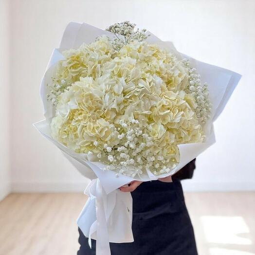 White Cloud Bouquet – Hydrangeas   Gypsophila in Elegant White Wrapping