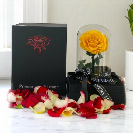 Forever Yellow Rose in Glass Dome – Preserved Ecuadorian Rose Gift