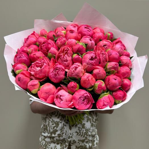 Пион коралловый 51