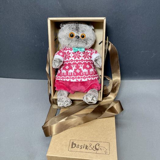 Кот Басик в красном