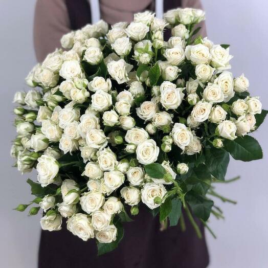 19 КУСТОВЫХ РОЗ ДЖОЗЕФИНА