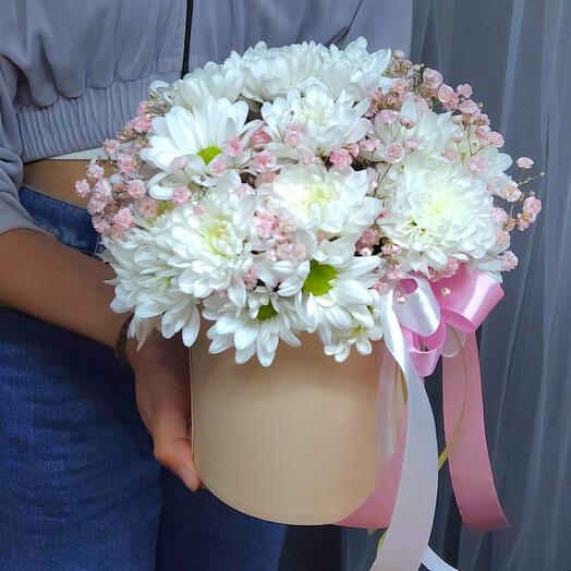 Хризантема в коробке 🌸