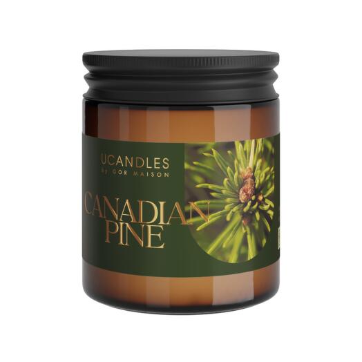 Аромасвеча UCANDLES Canadian Pine