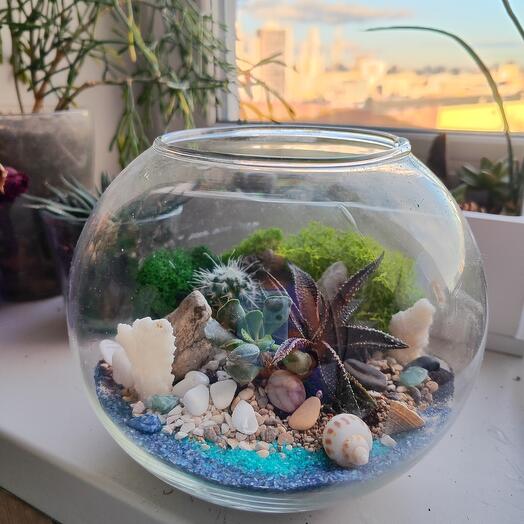 Флорариум морской пейзаж