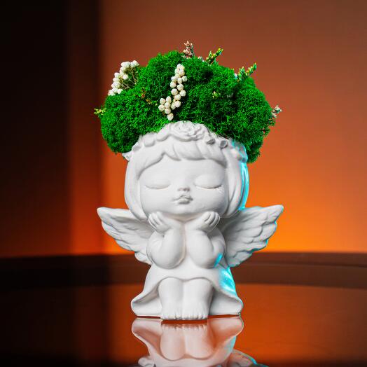 Кашпо со стабилизированным мхом и сухоцветами "Moussel Ange"