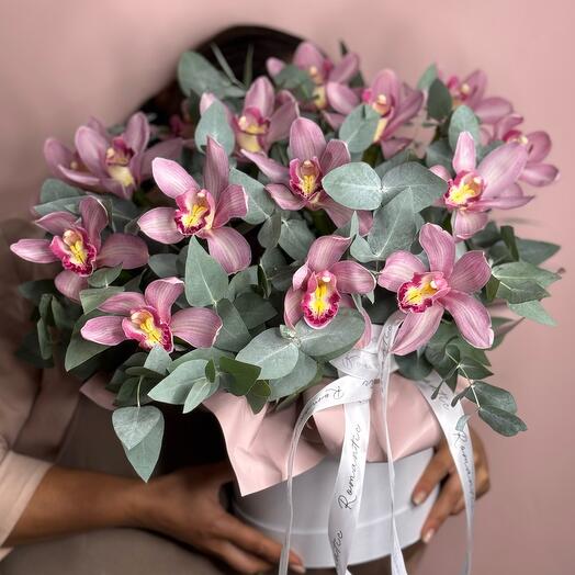 Орхидея цимбидиум в коробке с  эвкалиптом «Athens»