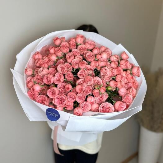 Кустовые Хави