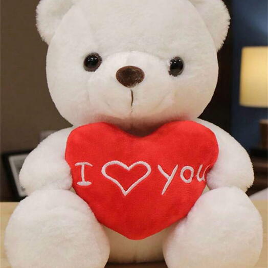 I Love You Teddy Bear