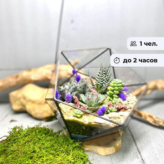 Живое искусство.  Групповой мастер-класс по созданию флорариума