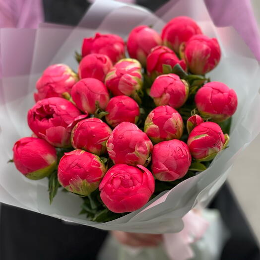 25 коралловых пионов
