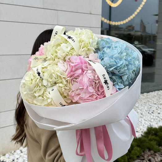 Облачко из гортензии микс