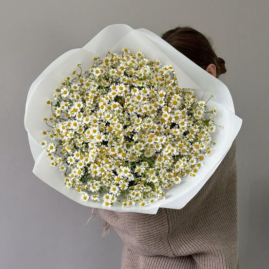 Воздушный букет из полевых ромашек 🌼