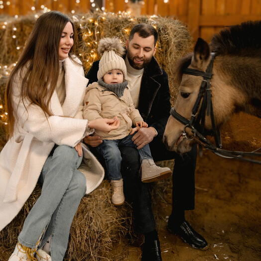 Сертификат на экскурсию в конный клуб