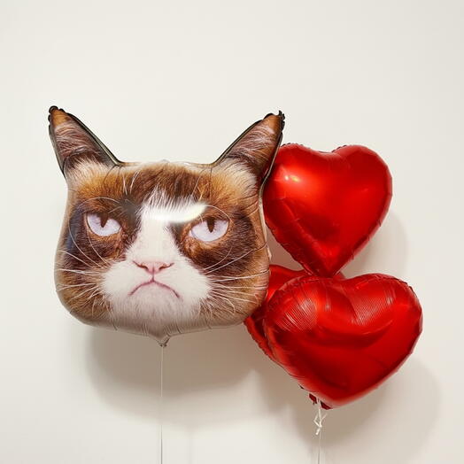 Счастливый кот