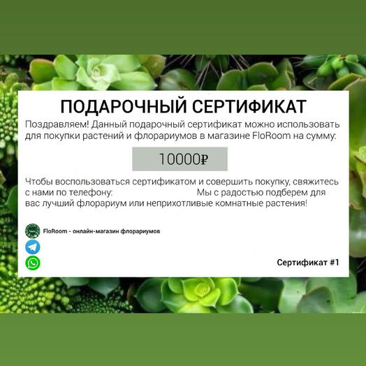 Подарочный сертификат на покупку флорариума