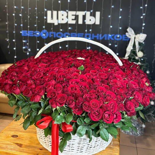 Корзина из 501 розы