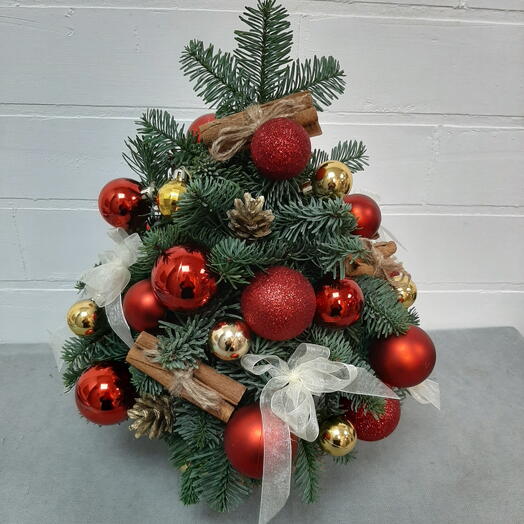 Ель из нобилиса