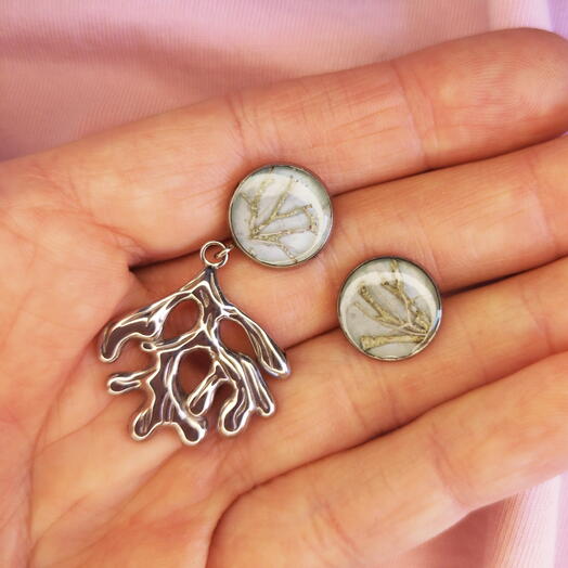 Stainless steel stud earrings with real reindeer lichen