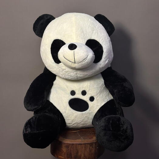 Panda M