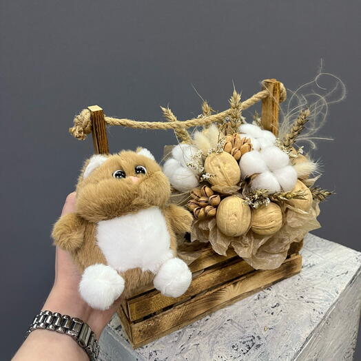 Бурый кот с орешками