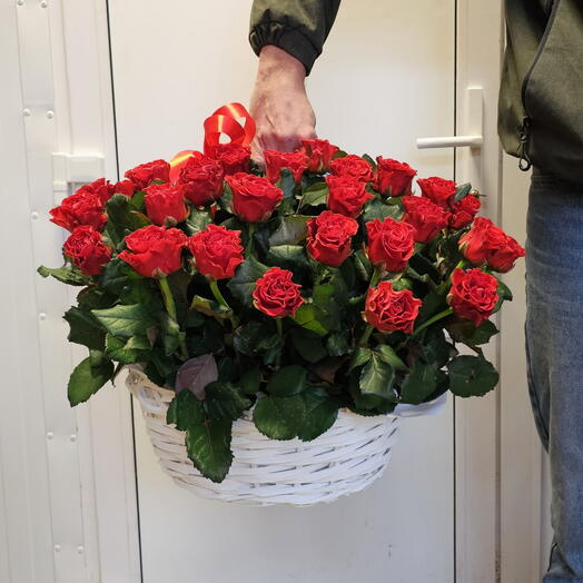 Шикарная корзина красные розы