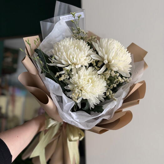 Магнум хризантема комплимент
